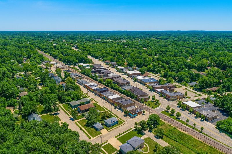 Cricket Control Service detail