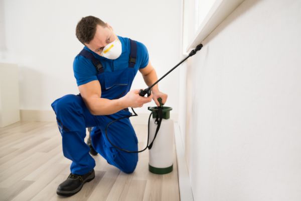 Bug Eradication Service